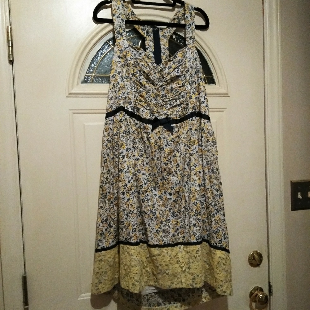❤️Torrid❤️ Gorgeous Dress sz 24